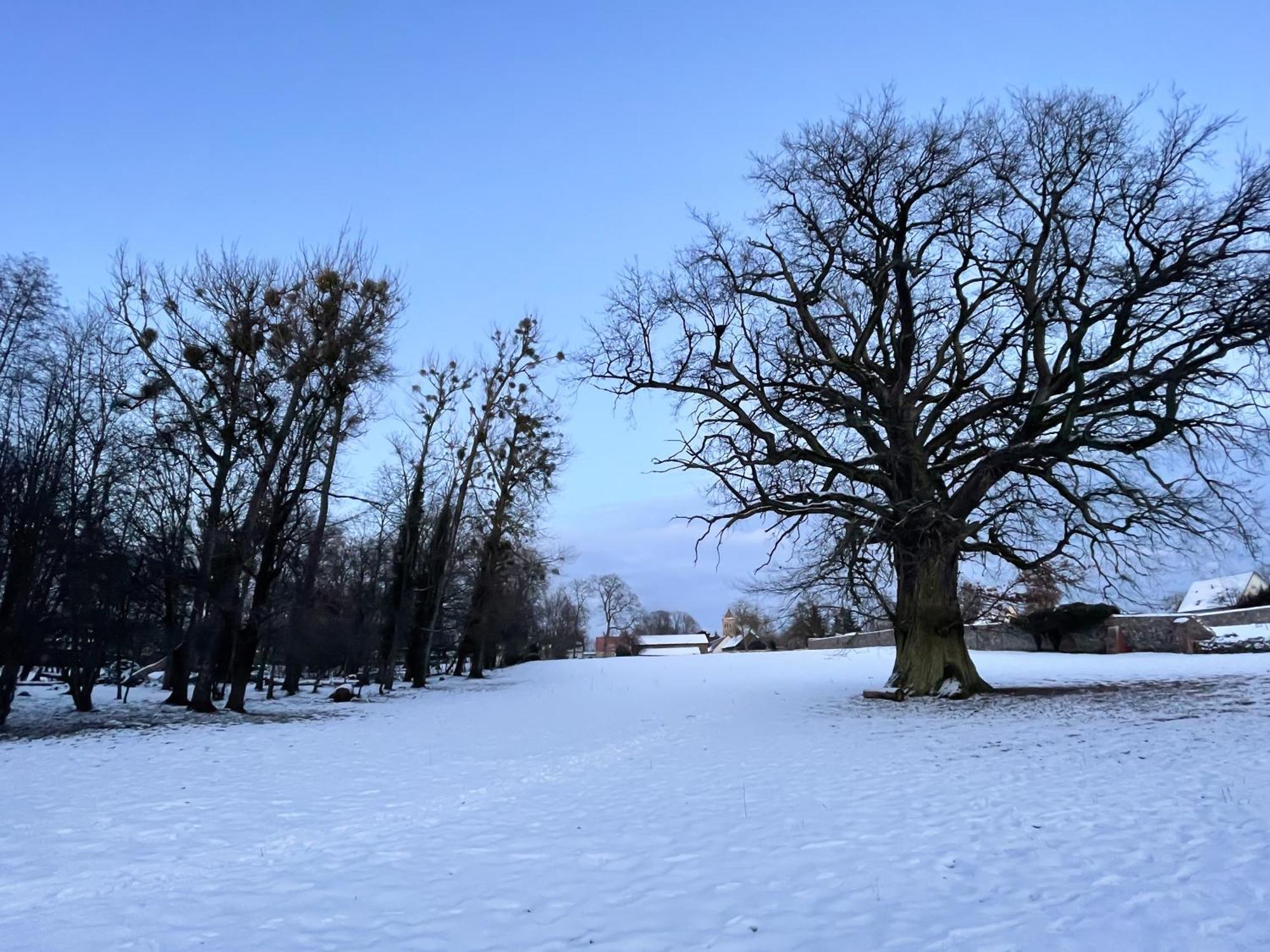 Altes Backhaus Haselberg Leilighet Eksteriør bilde