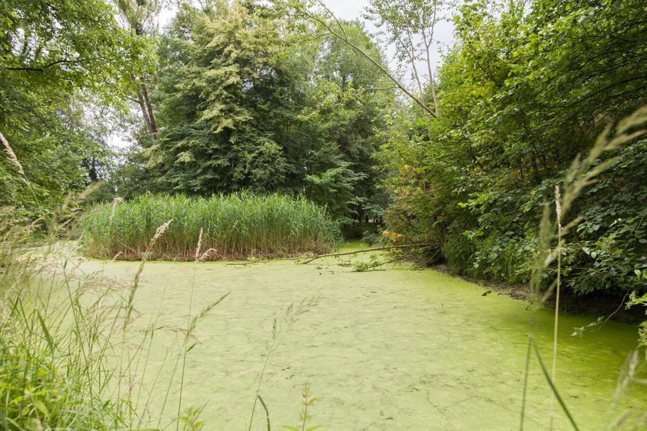 Altes Backhaus Haselberg Leilighet Eksteriør bilde